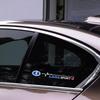 2 Stück Auto Karosserie Fenster Scheibenwischer Aufkleber Decals Zubehör für Lada Vesta Niva Samara Kalina Largus Priora Xray Granta Cross