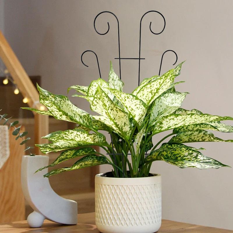 1ks Péče o zahradu Půda Rostlina Podpora pro šplhání Květinová aranžmá Strom DIY Kolíky Rám Trellis