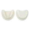Tooth Model Educational Simulation White Corundum Dental Model for Teaching Study Supplies