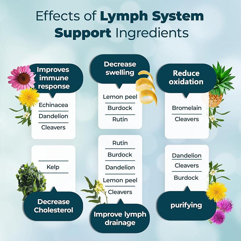 Purple Cone Chrysanthemum Extract Lemon Peel Burdock Root Composite Capsule 120 Vegetarian Capsules