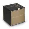 Charles Hubert Men's Silver Watch, 3-Hand Date, 4031-W