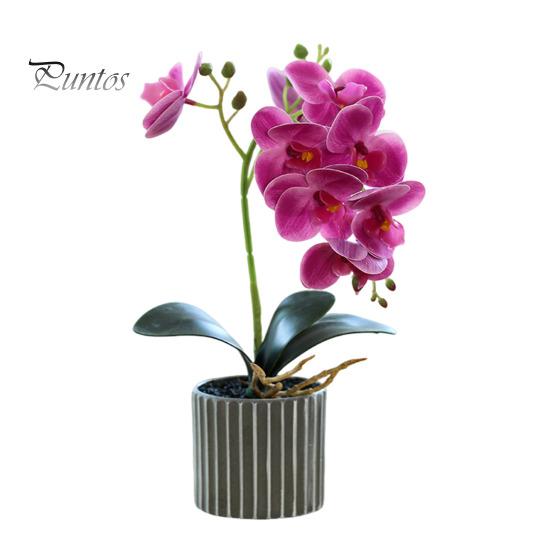 Yapay Saksı Bitkisi Sahte Güve Orkide Bonsai Masaüstü Yapay Saksı Phalaenopsis Çiçekleri Ev Yemek Masası Ofis Masası Dekorasyonu