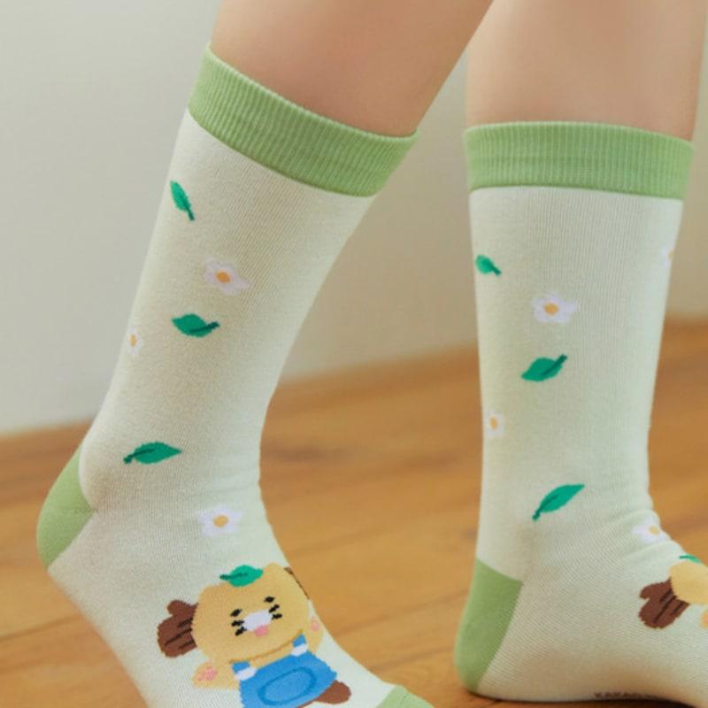 Kakao Friends Daily Socks Healing_Chunshik