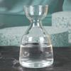 Transparent High Borosilicate Glass Hydroponic Avocado Seed Growing Vase