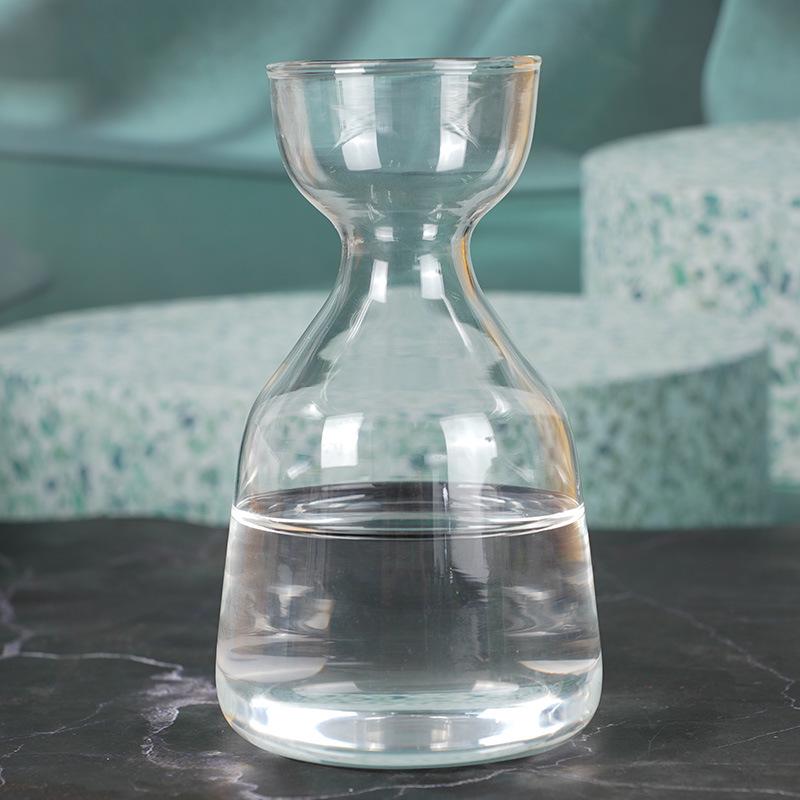 Transparent High Borosilicate Glass Hydroponic Avocado Seed Growing Vase