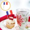 100Pcs Flag Cake Decoration Toothpicks Chic Design Cupcake Toppers Party Food Picks Kids Toothpick Flags Cupcake Picks