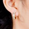 Versatile Light Luxury Ear Hoops: High-End, Classic, Simple Circle Earrings
