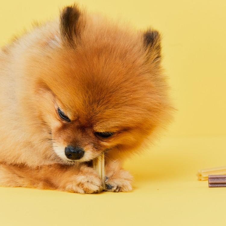 Fresh Dental Chew (Apple) Dog Gum Dog Dental Gum Dog Treat