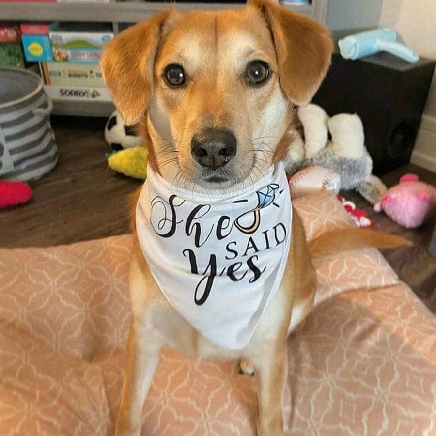 1pcs My Humans Are Getting Married She Said Yes Dog Bandana Set For Wedding Engagement Announcement Photo Props Bridal Shower Dog Wedding