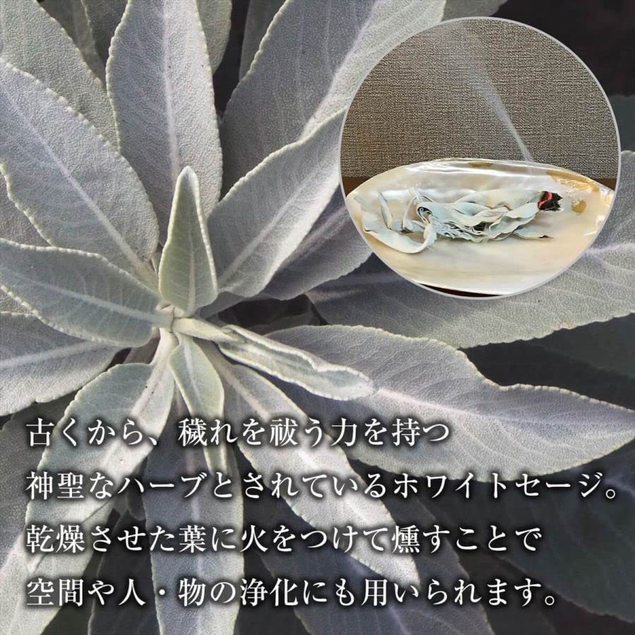 THE EARTH GRACE White Sage Leaf (Leaves) 100g (50g X 2) Purifying Incense Smudging