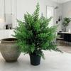 Artificial Pine & Cypress Bonsai with Christmas Ornaments – Decorative Greenery