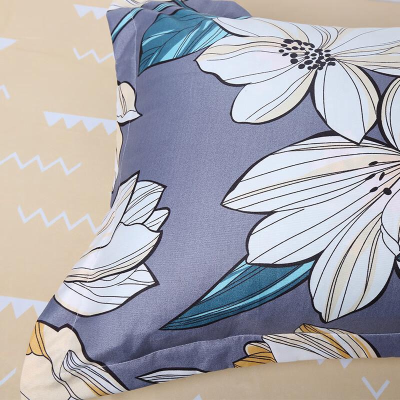 Tianqin Cloud Cotton Four-Piece Bedding Set