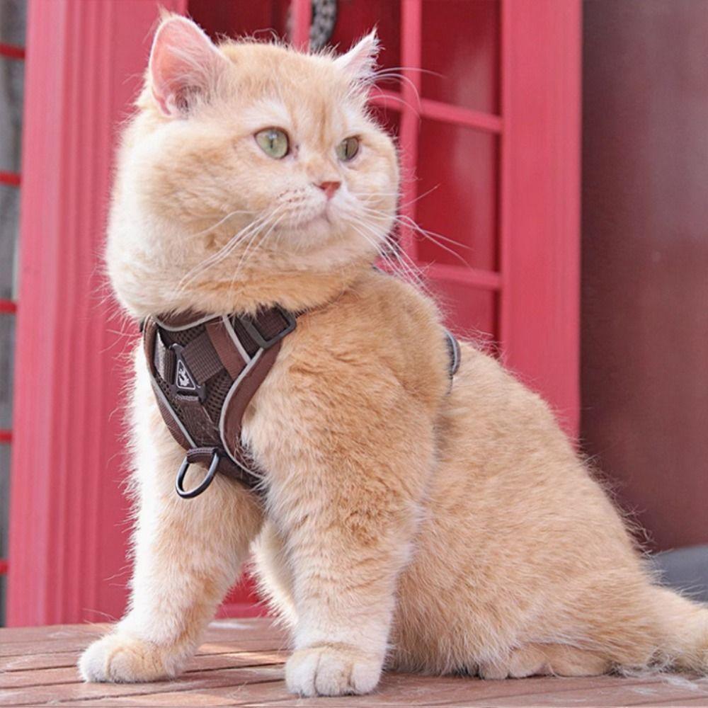 Reflective Trim Cat Harness Leash Set Vest Style Reflective Cat Harness Pets Supplies