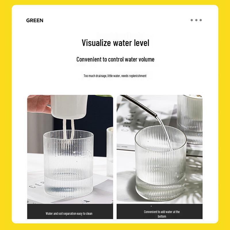 Aomeiyou Transparent Self-Watering Hydroponic Planter