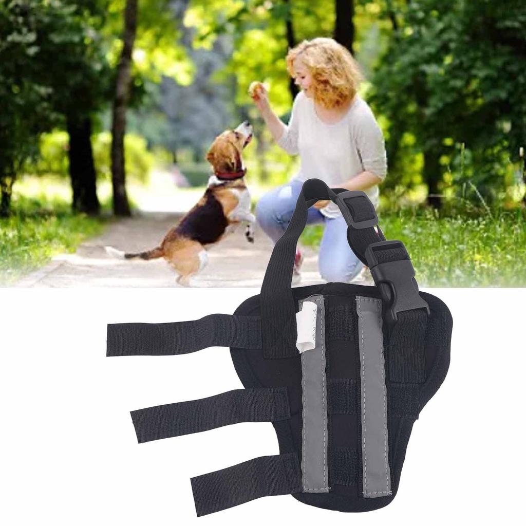 Dog Hind Leg Brace Stable Support Knee Pads Puppy Rear Leg Protector for Surgery Recovery