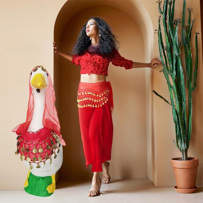 Belly Dance Outfit Set Belly Dance Hip Scarf,Coins Head Scarf Gypsy Costume Accessories for Womens Belly Dance Costume