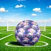 1pc Moonlit Horse Dream Durable Size 5 Soccer Ball Professional Match Training Football Indoor &Outdoor Sports Ball P6016