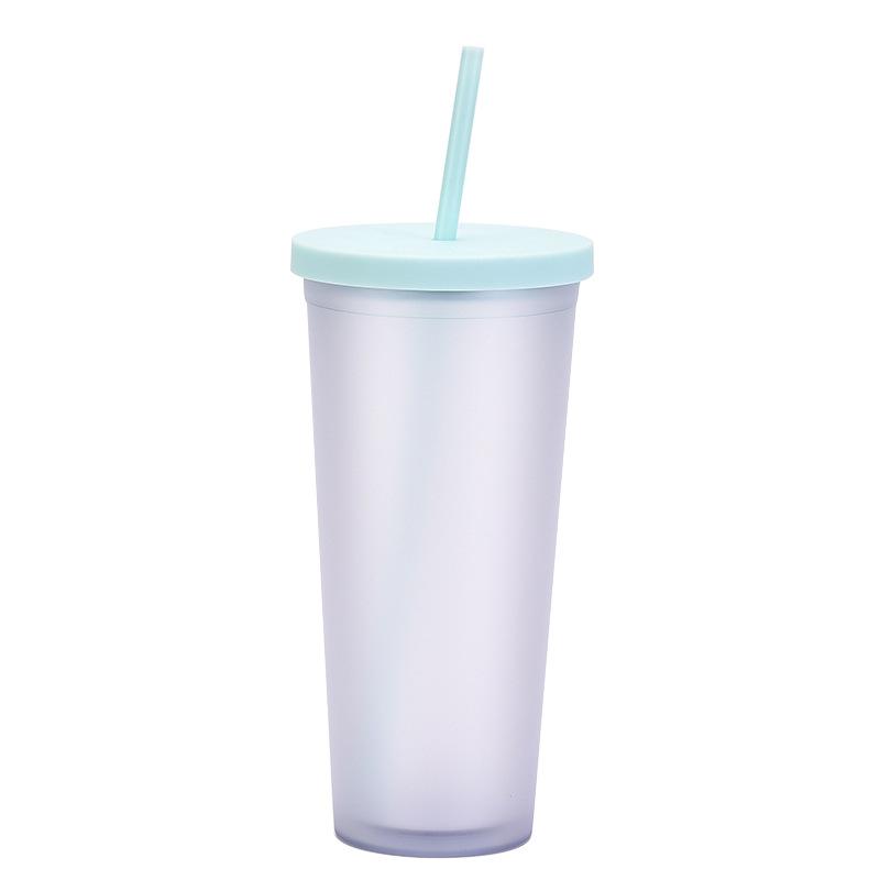 Double-Layer Plastic Straw Cup, Matte Cup, Outdoor Sports Water Cup