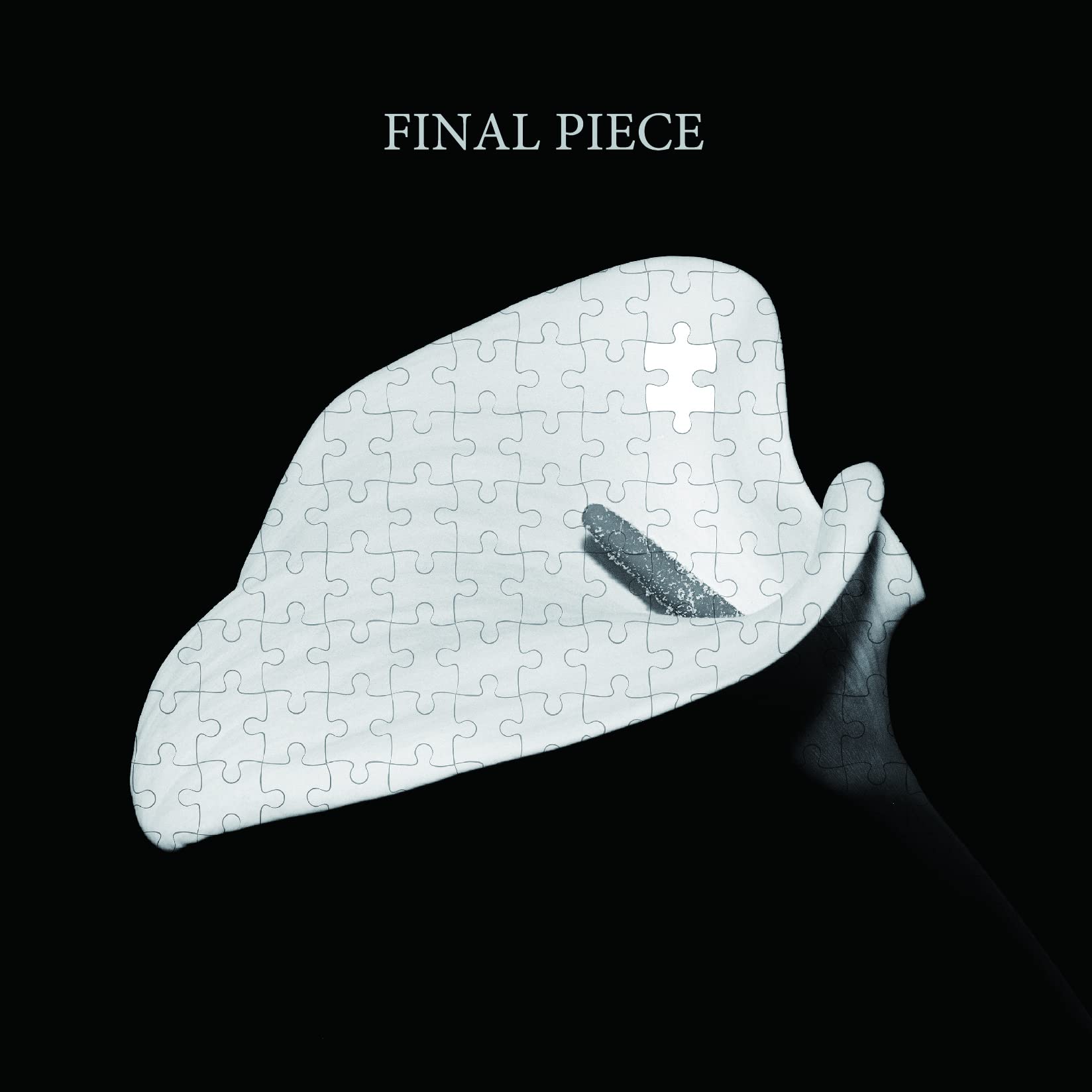 

FINAL PIECE (first limited edition) (DVD included) (Bonus: None)