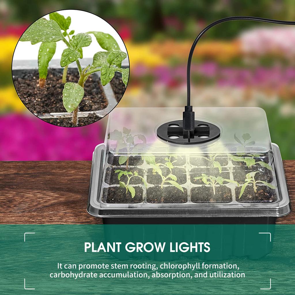 5PCS Plant Seed Starter Tray With Grow Lights for Planting Seeds 60 Seedling Cells Organic Plant
