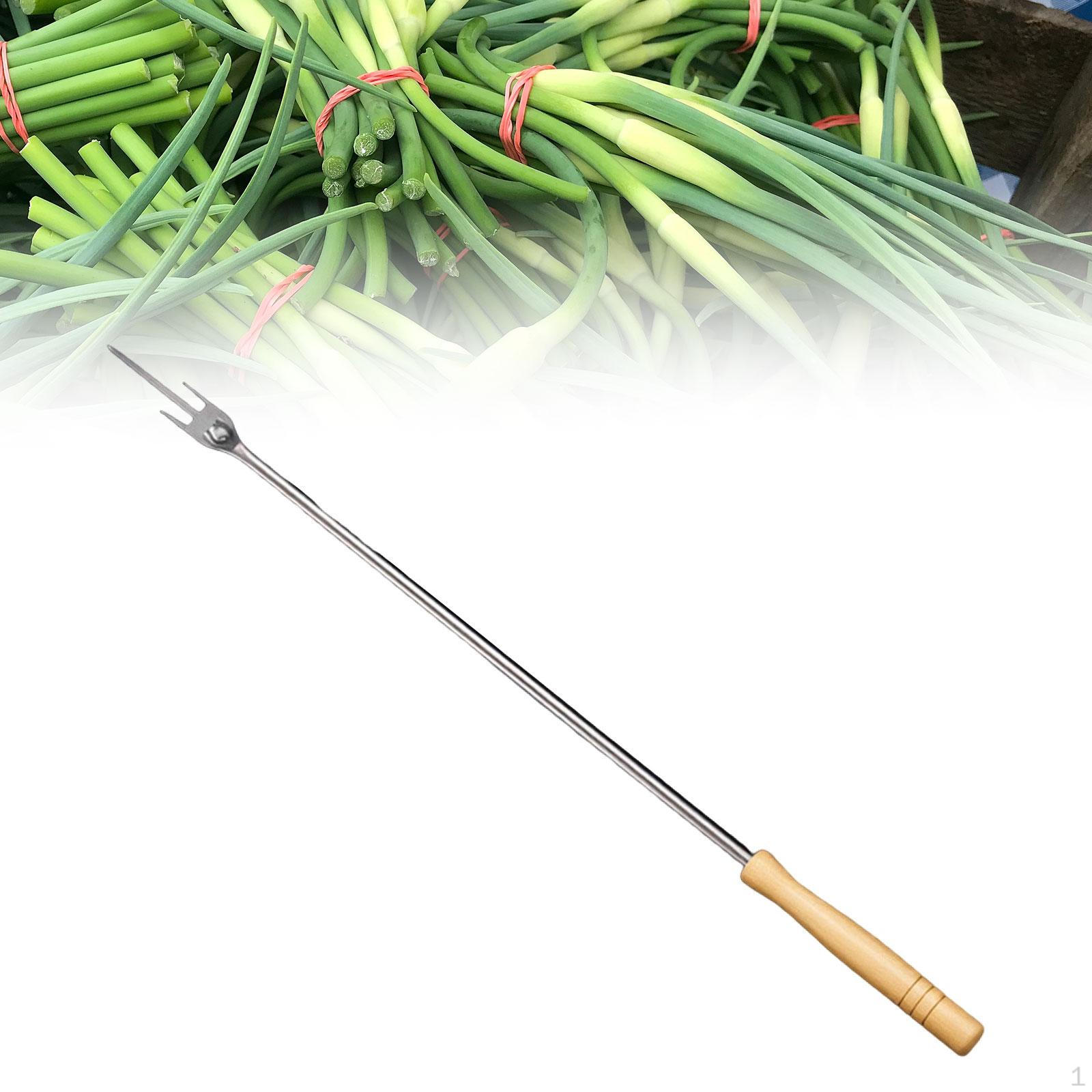 

Экстрактор стрелок чеснока Аксессуары для сбора урожая Овощной Высокоэффективный Нескользящий Сельскохозяйственное оборудование