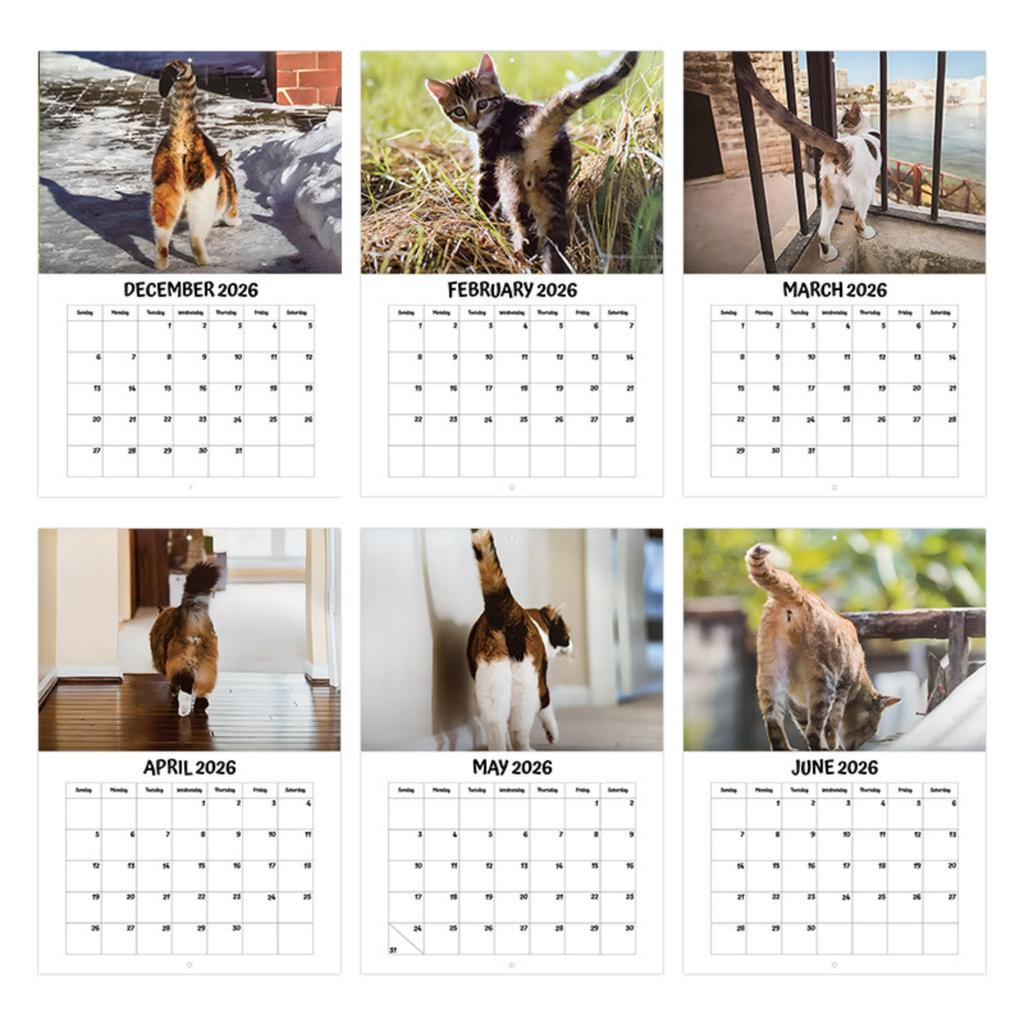 Funny Butt Staple Bound Calendar