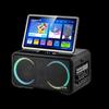 SAST KTV Speaker System with Screen & Mics CN plug (adapter included) (CN version)