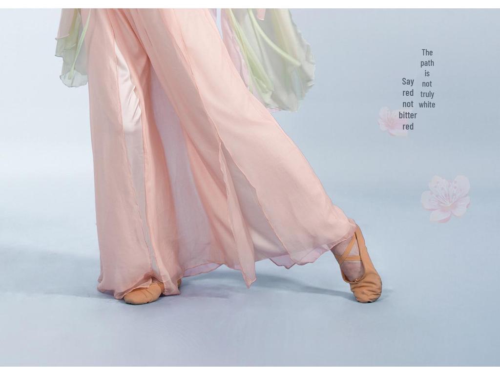 Dámské kostýmy pro klasický tanec: Vlající gáza, šifonové topy, vílí styl, starověké čínské taneční oblečení