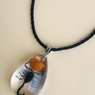 Gotische Hars Schorpioen Hanger Ketting Voor Vrouwen Mode Insect Specimen Vintage Ketting Esthetische Sieraden