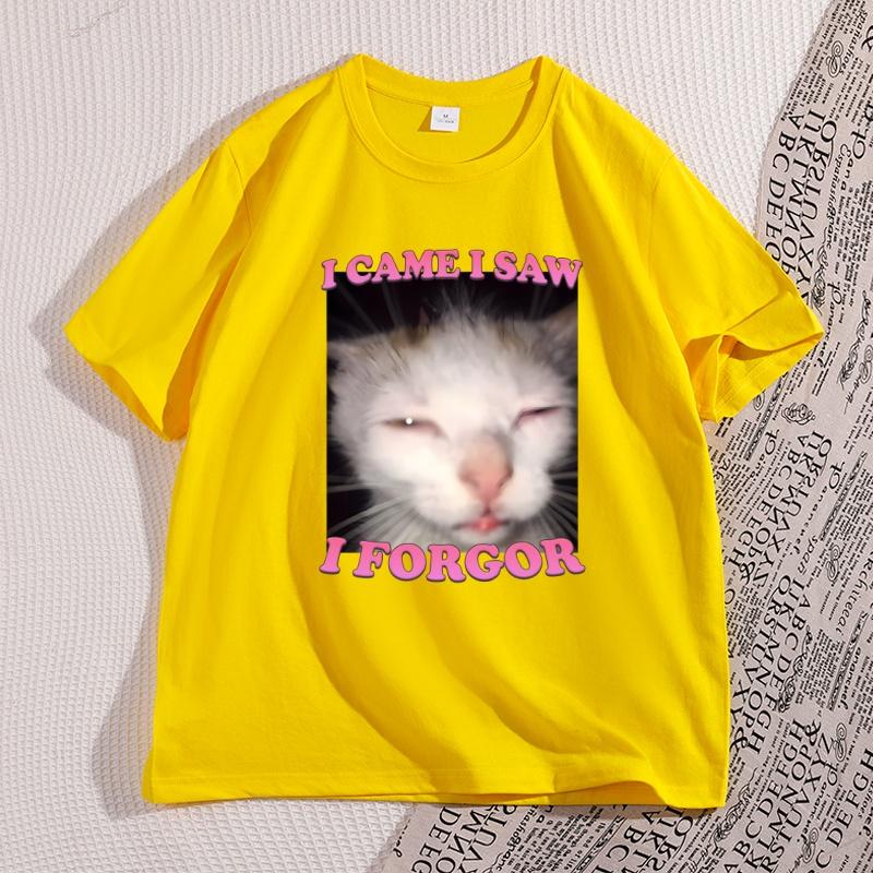 I Came I Saw I Forgor Funny Cat Casual Graphci Tees Short Sleeve High Quality T Shirts for WOMEN Cotton Meme Tshirts Streetwear