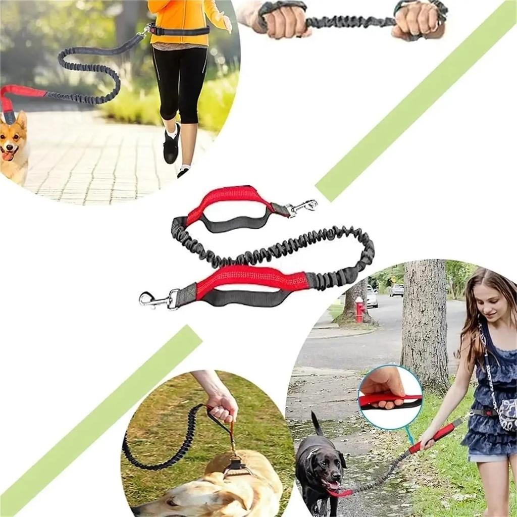 Adjustable Retractable Dog Leash Multi-functional Sports Traction Rope Hands-free Running Reflective Bungee Design.