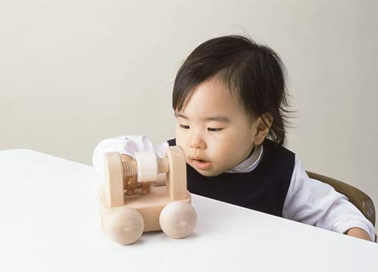 Whispering Sound of the Forest (cat Bus)