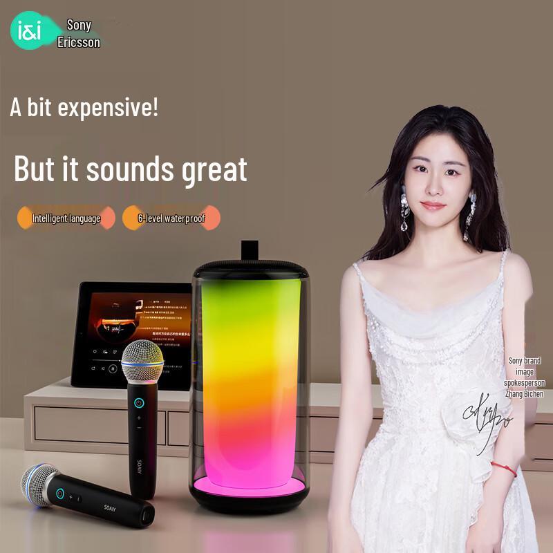 Soaiy Smart Portable Karaoke Speaker System with Wireless Microphones