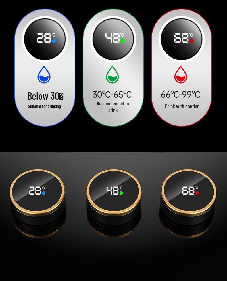 316 Stainless Steel Smart Insulated Cup with Temperature Display & Tea Infuser - Ideal Business Gift