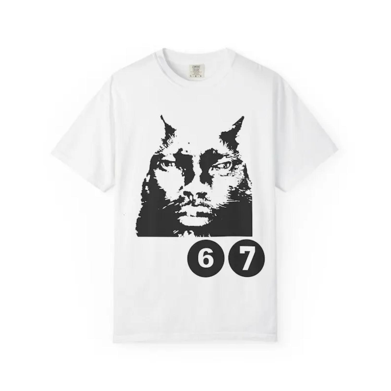 

67 T-Shirt, Streetwear fit, Meme Funny Cat Graphic T-Shirt, Cool Cat Tee, Unisex Cotton, Unique Brainrot Genz S чёрный