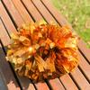 Colorful Laser Cheerleading Pom Poms with Baton Handle for Team Spirit Sports Dance Cheering Kids Adults
