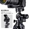 SWFOTO Gear Head 3way Head GH-PROII