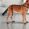 Dog Tail Protection Sleeve Adjustable Cover with Harness FastRelease Pet Supplies for Dogs,