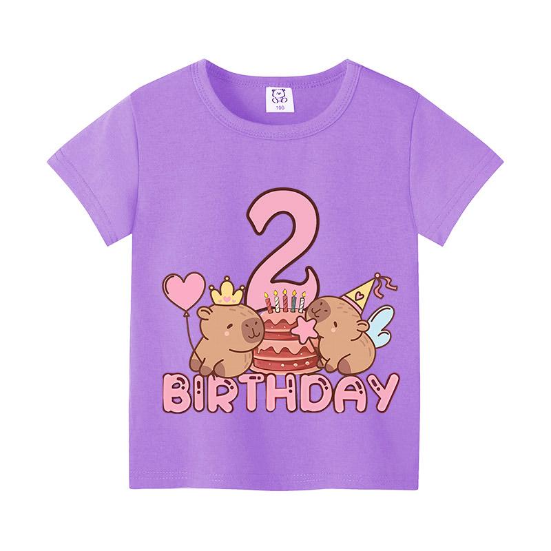 Capybara Birthday Print T-Shirtt Girls Number Short Sleeves Shirts Cartoon Anime Figures Tops Clothes Kids Summer Cotton Tees
