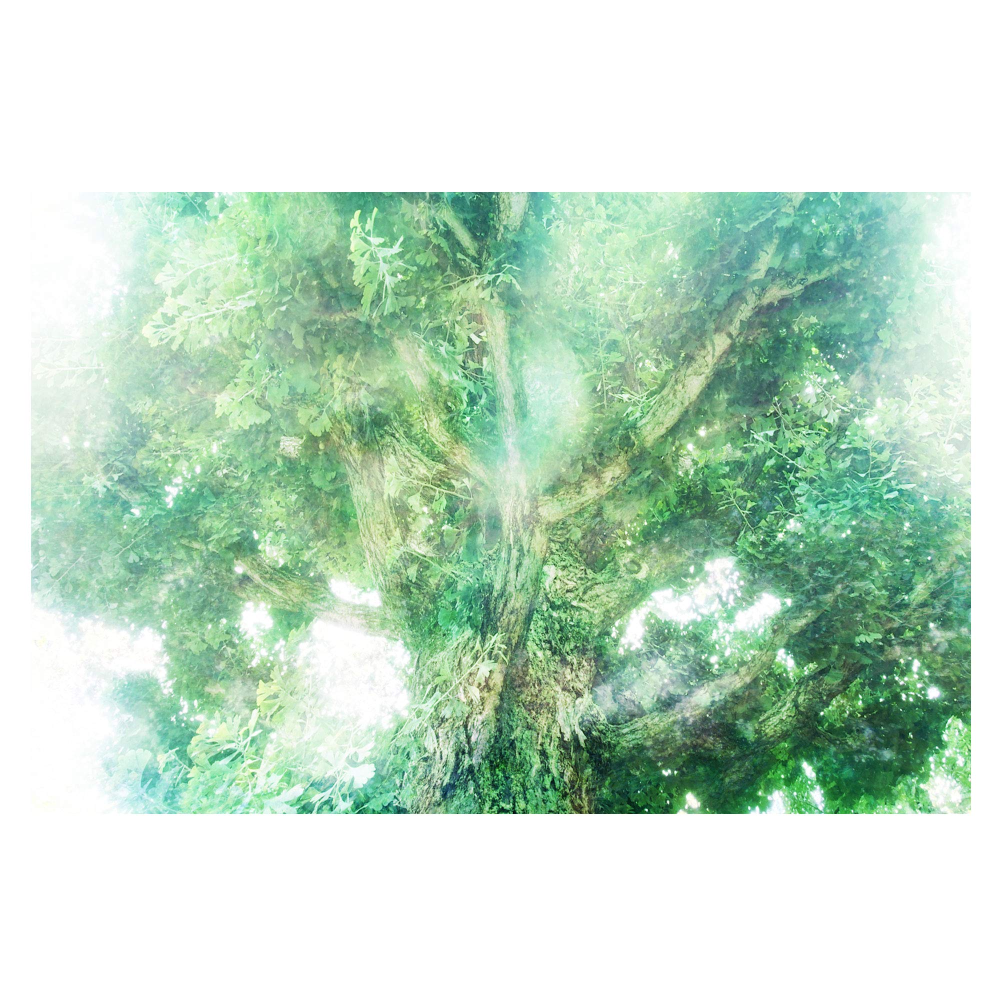 

Искусство Удачи Фэн-шуй Здоровье Восстановление CG Искусство A4 (Исцеление ЦУКАСА) Товары, Предметы, Удача, Праздник, Природа, Энергия, Исцеление, (Деревянный Дух, Размер)