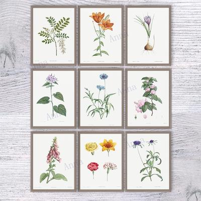 Retro Flowers Illustration Wall Art Poster Botanical Canvas Painting Poster Print Wall Art Picture for Living Room Wall Decor