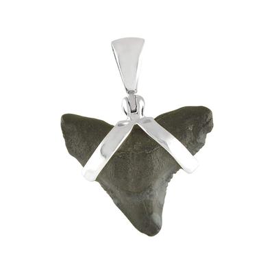 Starborn Mako-Haitzahn Fossil Anhänger Sterling Silber 925 Größe S
