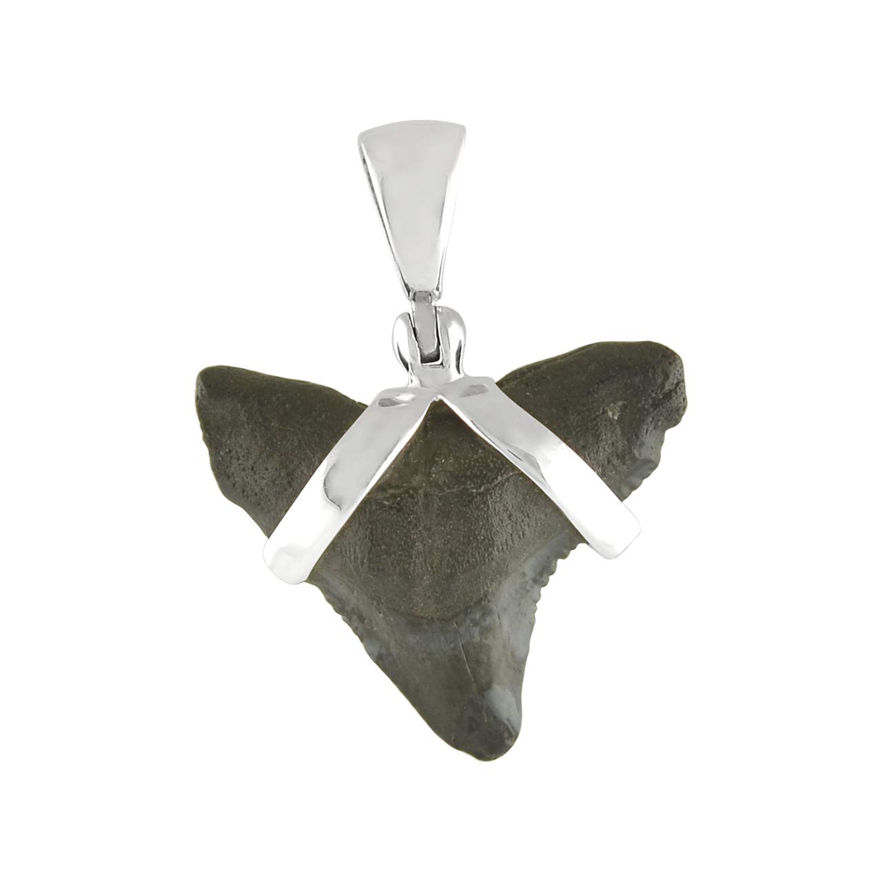 

Starborn Mako Shark Tooth Fossil Pendant Sterling Silver 925 Size S