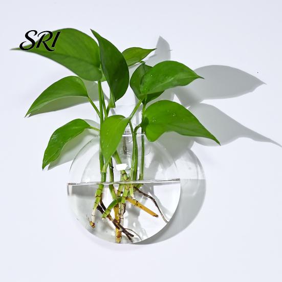 Decorative Wall Planter Hanging Glass Clear Flower Vase for Hydroponics Plants Greenery Home Decor Mount Terrarium Propagation Station Bathroom Office