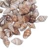 Vissen en zeedieren – Aquarium decoratie