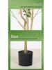 Olive Tree Potted Plant - Indoor Decor Simulation for Living Room