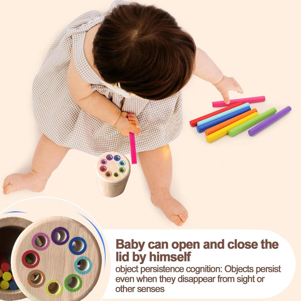 Montessori Toys for Toddlers Wooden Learning Color Sorting Toys for Fine Motor Developmental Infants Sensory Matching Games