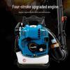 Tiejia Tu EB850 78CC 4-Stroke Gasoline Backpack Blower & Snow Blower CN plug (adapter included)