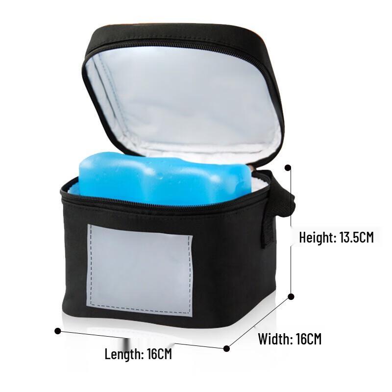 Medela Portable Breast Milk Cooler Bag
