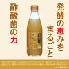 Kewpie Fermentation Immunity Care Cloudy Apple Vinegar 345ml Functional Food Acetic Acid Bacteria Microbial Activity Apple Juice Sweetness